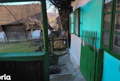 Casă cu 4 camere cu Teren 1300 Mp în Măgherani - 15