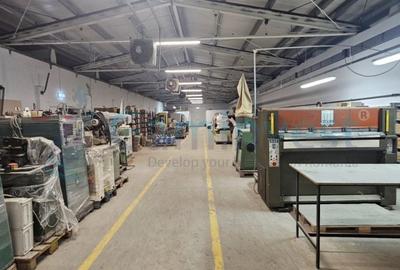 Gaminvest Hala industriala modernizată 2200 mp in Pecica, Arad,v4363 - 11