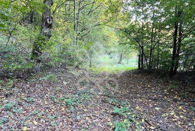 Teren pentru casa de vacanta pe Valea Bratcutei, Bihor - 10