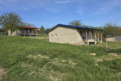 Casă cu 2 camere în Țigănași - 2
