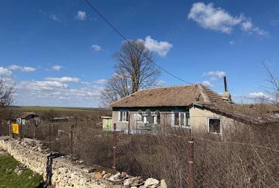 Casă cu Teren 2142 Mp în Olteni - 3