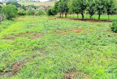 Casă cu 4 camere cu Teren 1349 Mp în Boiu - 4