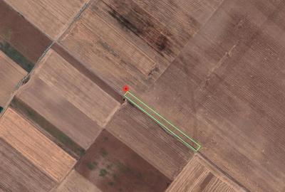 Teren agricol extravilan de 2670 mp, în Berceni - 1