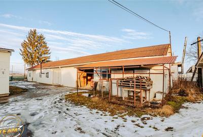 Spațiu comercial, de 1,341 mp, în Valea Crișului - 2