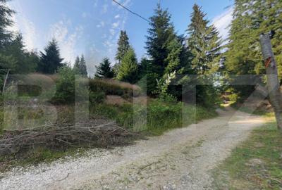 Investitie ! Teren intravilan 990 mp, front 23 m, Muntele B - 8