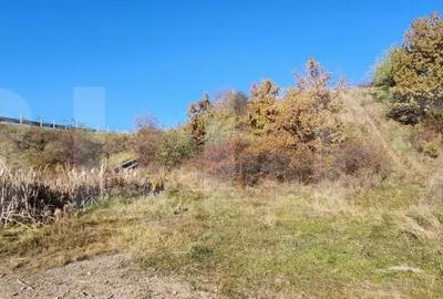 Teren de 963 mp, în Gilău - 2