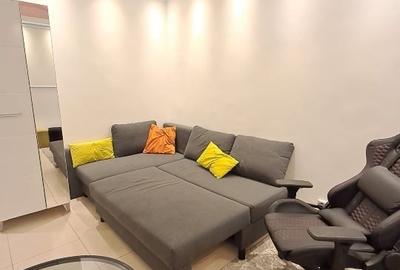 Studio central de închiriat - 15