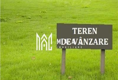 Teren Extravilan 20.000Mp I Stoenești -Vâlcea I Apă Curentă și Pădure - 3