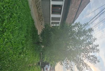 Casă cu 3 camere cu Teren 700 Mp în Bahnea - 8