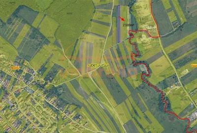 Teren Construcții extravilan de 2500 mp, în Baciu - 3