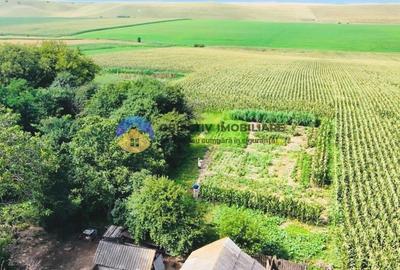 TEREN intravilan  9.126 mp - comuna STEFAN cel MARE