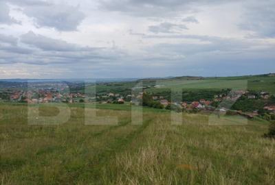 Teren extravilan 1248 mp in Copaceni! Oportunitate investiti - 2