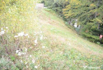 Teren de 1300 mp, în Valea Alba - 2