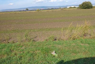 Teren agricol, 5,50 ha, Vladeni , jud. Ilomita, 49500 euro - 1