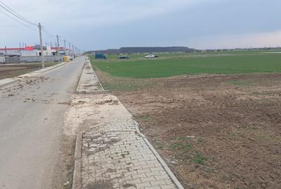 Teren Construcții intravilan de 5000 mp, în Dragomirești-Deal - 1