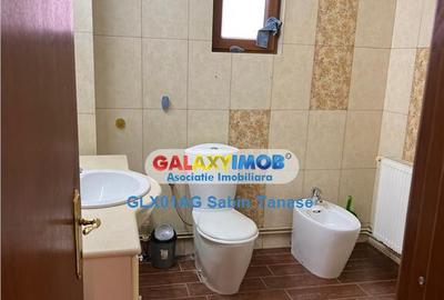 De inchirere vila Stefanesti Lidl ....curte amenajata ter - 15