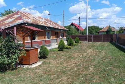 Teren de 2300 mp, în Snagov - 2
