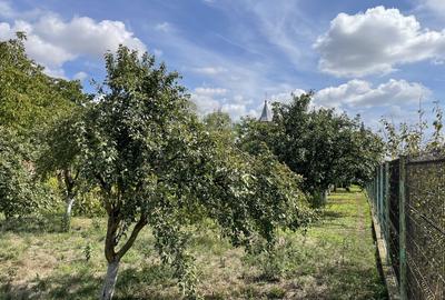 Malu, sat Butoiu Ialomita - 1