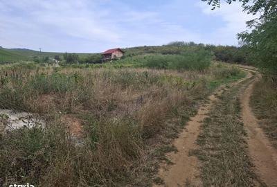 Teren de 2200 mp, în Ghioroc - 1