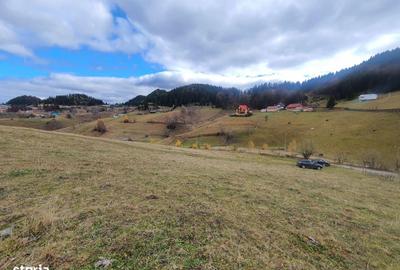 Spațiu comercial, în Bran - 4