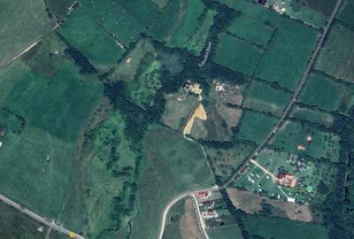 Teren intravilan 3 parcele in total 13.111 mp Utilitati - Bran, Sohodol - 6