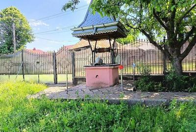 Casă cu Teren 10000 Mp în Bucșești - 5