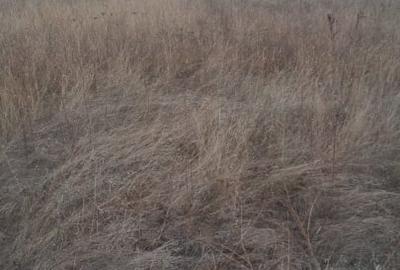 Balotesti - Saftica - Flamingo Park -476 mp Balotesti - Saftica - Flamingo Park -476 mp - 3