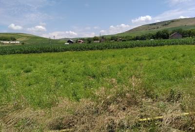 INTRAVILAN EXCEPTZIONAL - LIMITROF JUD. BISTRITZA, DUPA SARMASEL GARA - 2