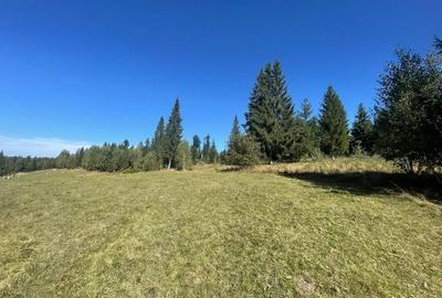 Teren Intravilan | Dealul Negru | Investiție | 1500 mp - 4