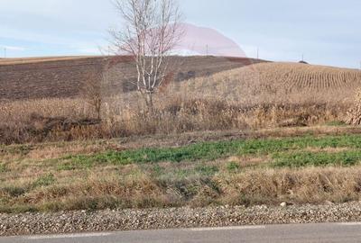 Teren agricol extravilan de 800 mp, în Secuieni - 4