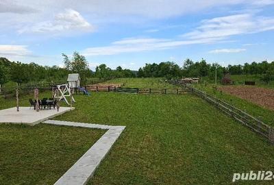 Casă cu 3 camere cu Teren 6000 Mp în Central - 10