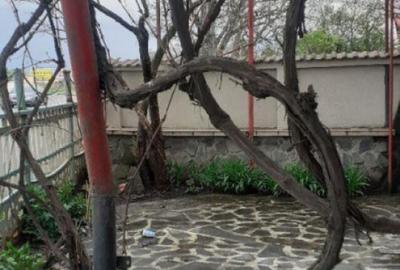 Spațiu comercial, de 300 mp, în Stupini - 16