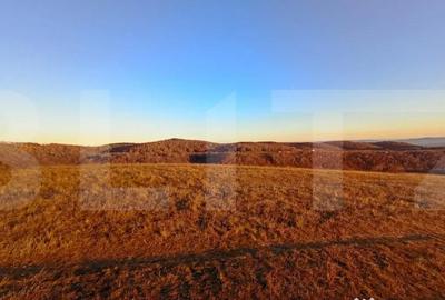 Teren de 8600 mp, în Sălicea - 3