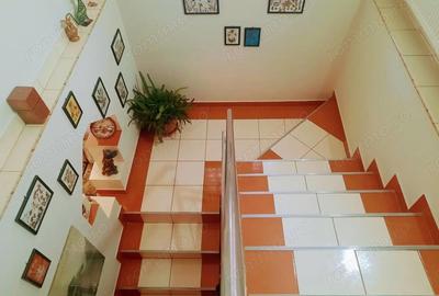 Casă cu Teren 250 Mp în Criș - 3