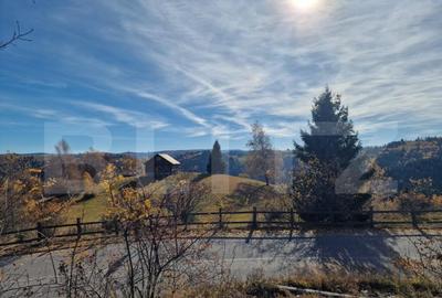 Teren intravilan, 24.888mp, front la strada, utilitati, Mari - 2