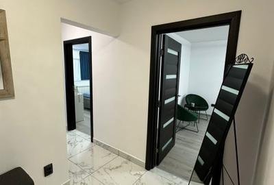 Apartament cu 3 camere decomandat, mobilat în Camil Ressu - 8