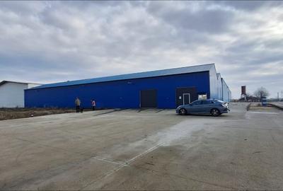 Spațiu industrial, 6000 mp în Daia