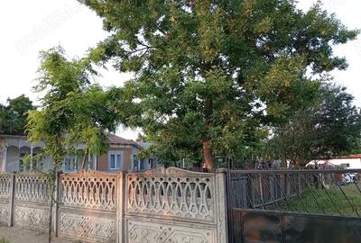 Vand casa in Movila Miresii - 5