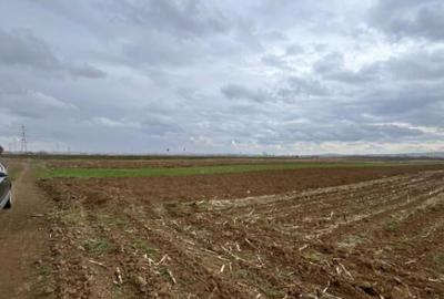 Teren extravilan 2500 mp,cu acces la Centura ,Radauti - 1