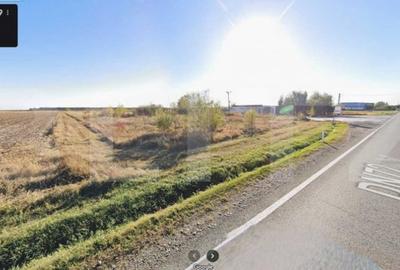 Teren de 8044 mp, în Dărmănești - 5