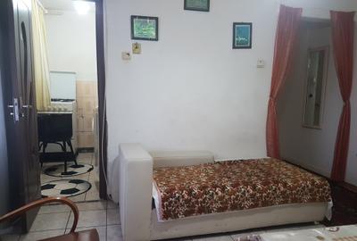 Apartament cu 2 camere nedecomandat, mobilat în Central - 4