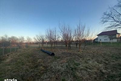 Teren de 1800 mp, în Tăuții-Măgherăuș - 8