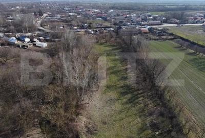 Casă cu Teren 3800 Mp în Costești - 3