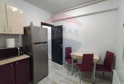 Apartament cu 1 camere decomandat, mobilat în 1 Decembrie 1918 - 3