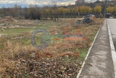 ID 7743 Teren INTRAVILAN pe E87 - ISACCEA - 11