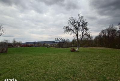 Teren de 9370 mp, în Baia de Criș - 9