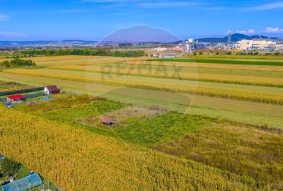 Teren de vanzare 532mp Brasov, Strada Luncii | COMISION 0% Teren de vanzare 532mp Brasov, Strada Luncii | COMISION 0% - 11