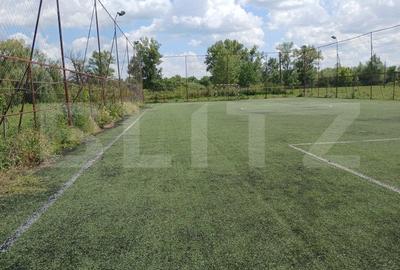 Casa superba in Tinca, 225 mp, 20 ari luciu de apa, teren fotbal, spatii verzi - 6