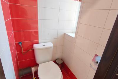 Apartament cu 2 camere semidecomandat, mobilat în Dumbrăvița - 5
