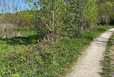 Spațiu comercial, în Sebeșu de Sus - 1